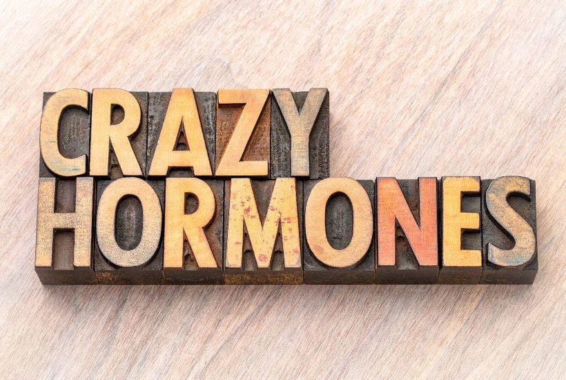 is crazy hormones why teens behave the way they do 